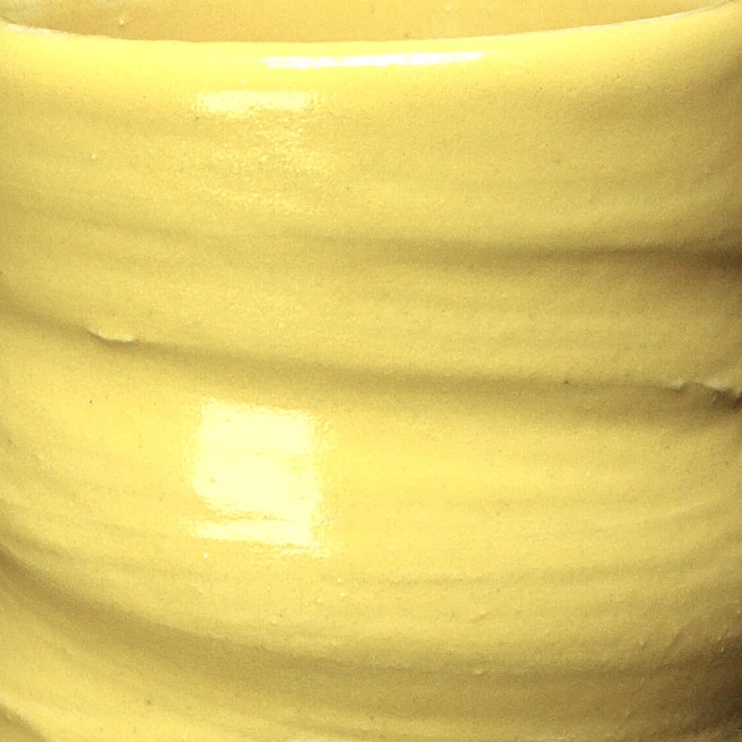 Penguin Pottery - Gentoo Series - Royal Yellow - Low Fire Glaze Cone 06-04 for Low Fire Clay - Ceramic Glaze Pottery (1 Pint | 16 oz | 473 ml)
